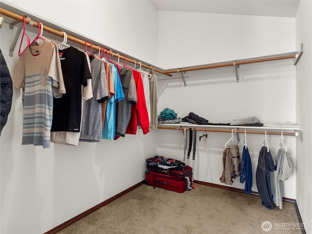 2519 Carpenter Rd, Lacey, WA 98503 - spacious closet featuring carpet