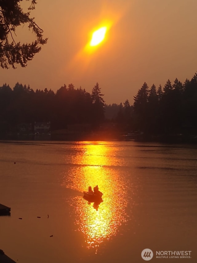 2519 Carpenter Rd, Lacey, WA 98503 - water view