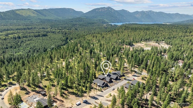 81 Plateau Loop, Cle Elum, WA 98922 - drone / aerial view of a forest and a mountain backdrop