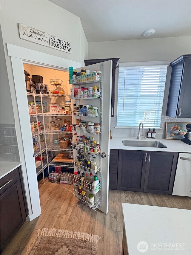 5845 Waverly Rd SW, Port Orchard, WA 98367 - pantry featuring a sink