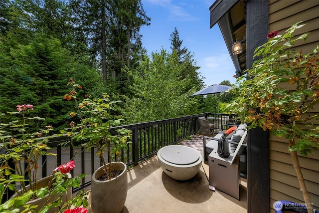 2166 NE Morgan Ln, Issaquah, WA 98029 - view of balcony