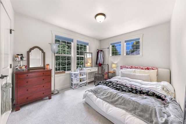 2166 NE Morgan Ln, Issaquah, WA 98029 - view of carpeted bedroom