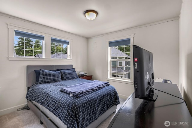 2166 NE Morgan Ln, Issaquah, WA 98029 - bedroom with carpet floors and multiple windows