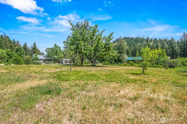 14985 Chumstick, Leavenworth, WA 98826 - view of yard with a wooded view