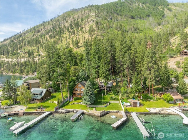 9368 S Lakeshore Rd, Chelan, WA 98816 - bird's eye view of a forest and a water and mountain view