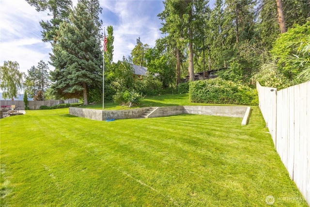 9368 S Lakeshore Rd, Chelan, WA 98816 - view of yard