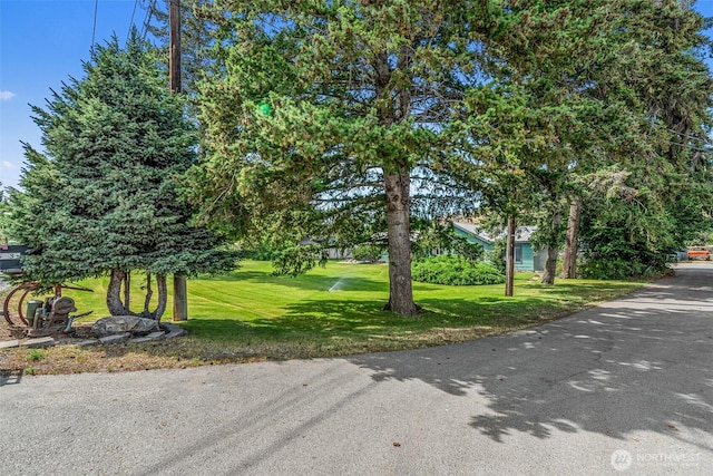 5862 Sunset Hwy, Cashmere, WA 98815 - photo 4