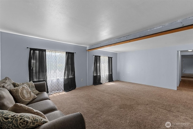 5862 Sunset Hwy, Cashmere, WA 98815 - photo 7