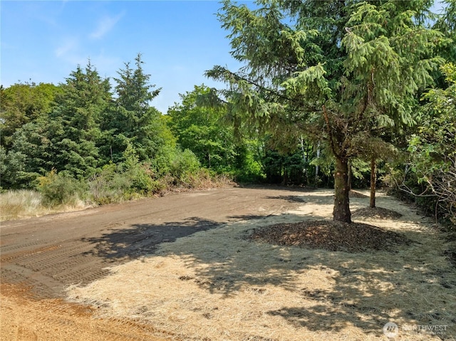 620 E Chance A La Mer NE, Ocean Shores, WA 98569
