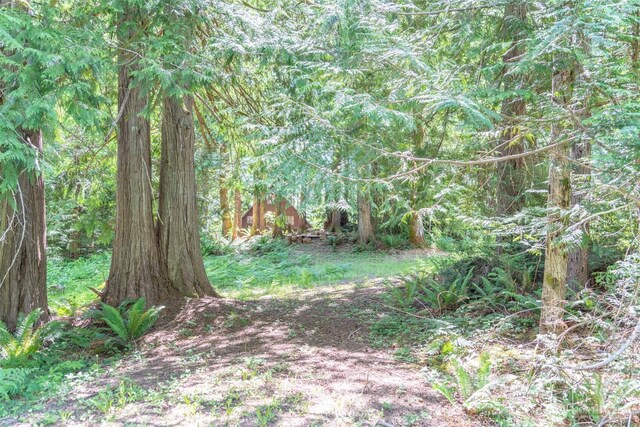 0 Maple Ave, Brinnon, WA 98320
