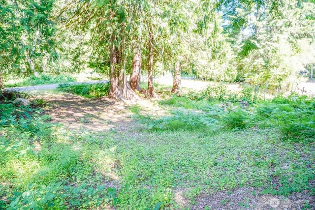 0 Maple Ave, Brinnon, WA 98320