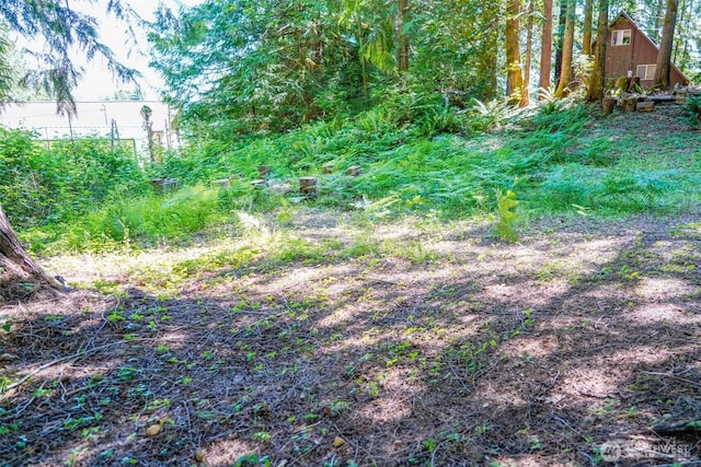 0 Maple Ave, Brinnon, WA 98320
