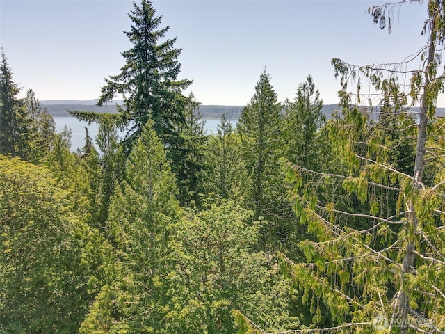 0 Maple Ave, Brinnon, WA 98320