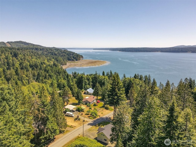 0 Maple Ave, Brinnon, WA 98320