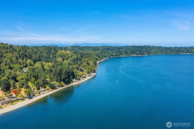 14504 Glen Acres Rd, Vashon, WA 98070 - drone / aerial view of a water and mountain view