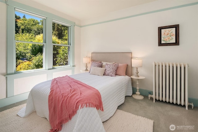 14504 Glen Acres Rd, Vashon, WA 98070 - carpeted bedroom with radiator heating unit