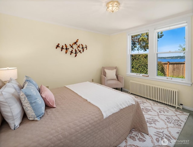 14504 Glen Acres Rd, Vashon, WA 98070 - bedroom featuring radiator heating unit, a water view, and carpet