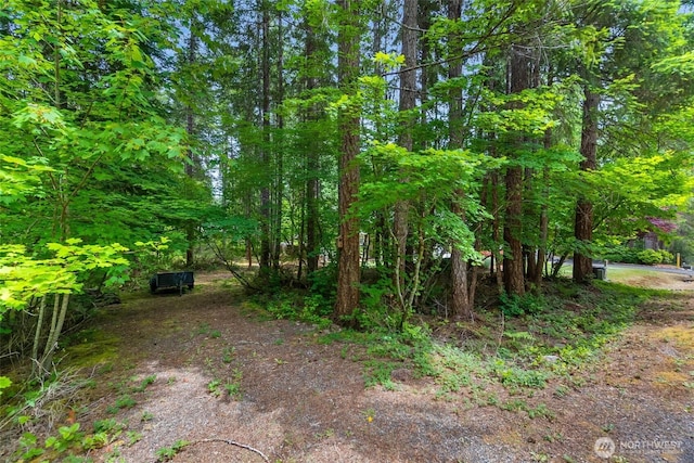 231N Mountain View Dr, Hoodsport, WA 98548 - photo 33