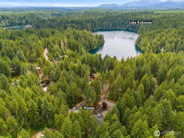 231N Mountain View Dr, Hoodsport, WA 98548 - photo 35