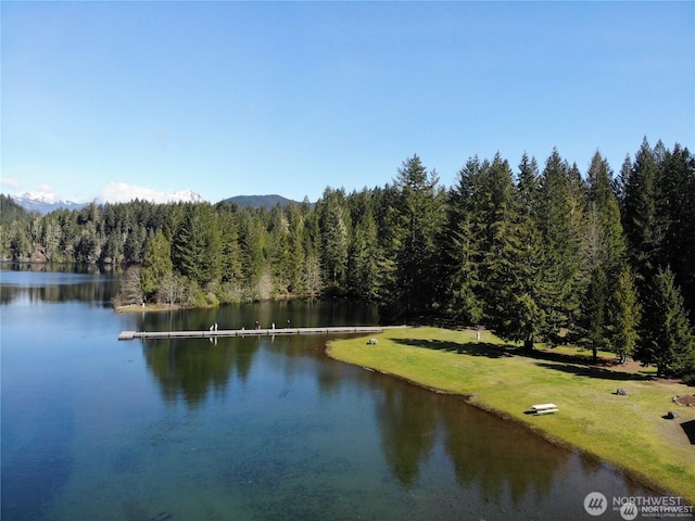 231N Mountain View Dr, Hoodsport, WA 98548 - photo 36