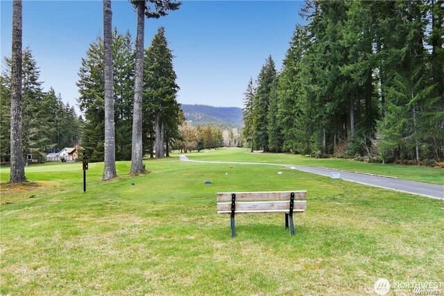 231N Mountain View Dr, Hoodsport, WA 98548 - photo 37