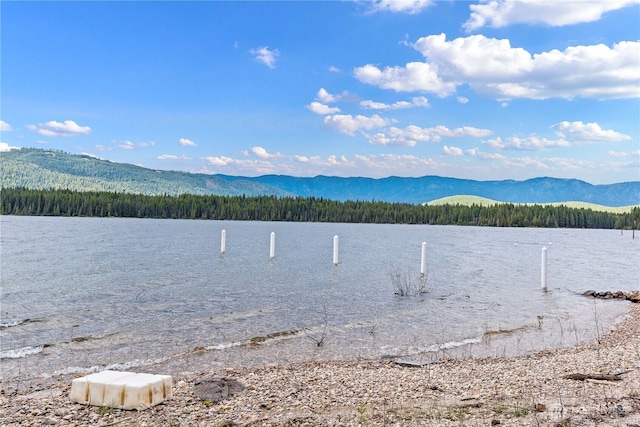 15320 Cedar Brae, Leavenworth, WA 98826 - water view with a mountainous background and a heavily wooded area