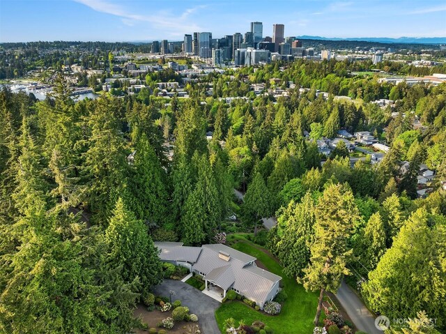 400 Detwiller Ln, Bellevue, WA 98004 - photo 38