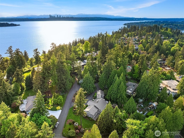 400 Detwiller Ln, Bellevue, WA 98004 - photo 39