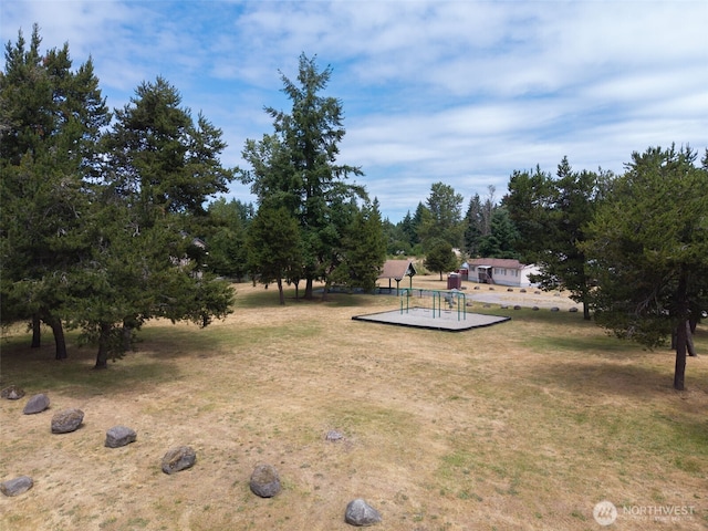 8537 Thuja Ave SE, Yelm, WA 98597 - view of grassy yard featuring a playground