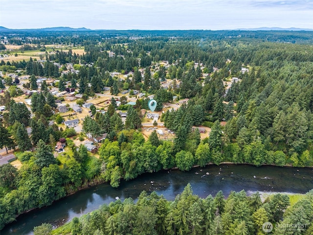 8537 Thuja Ave SE, Yelm, WA 98597 - aerial view of a forest
