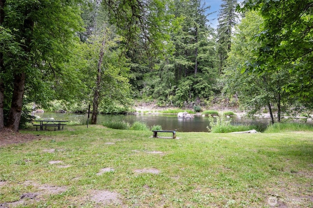 8537 Thuja Ave SE, Yelm, WA 98597 - view of grassy yard featuring a water view and a wooded view