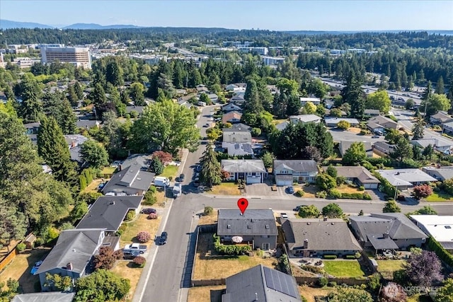 11642 NE 135th St, Kirkland, WA 98034 - photo 38