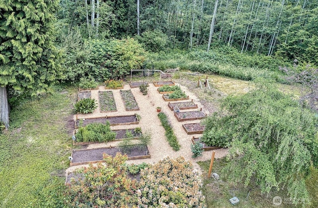 5679 W 31st Crst, Ferndale, WA 98248 - view of yard with a vegetable garden