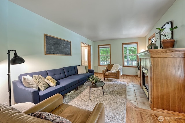 5679 W 31st Crst, Ferndale, WA 98248 - living room with light wood-type flooring and a fireplace