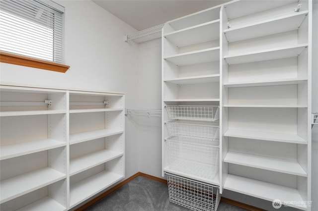 3401 F Ave, Anacortes, WA 98221 - spacious closet with dark carpet
