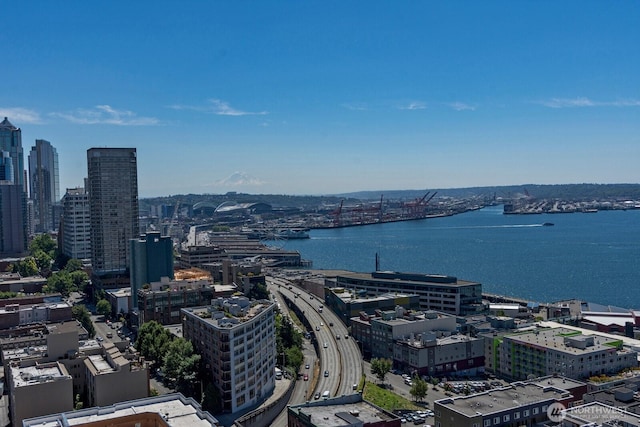 121 Vine St Unit 703, Seattle, WA 98121 - view of urban area with a large body of water