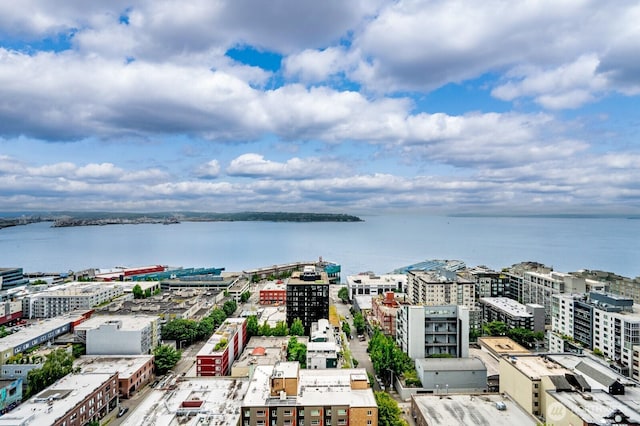 121 Vine St Unit 703, Seattle, WA 98121 - view of urban area with a nearby body of water