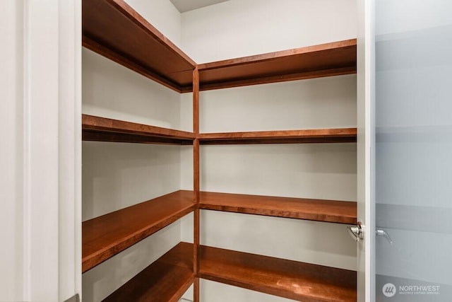 7747 Sand Point Way NE Unit A, Seattle, WA 98115 - view of pantry