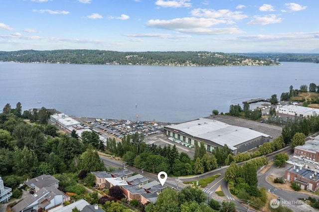 7747 Sand Point Way NE Unit A, Seattle, WA 98115 - drone / aerial view of a large body of water