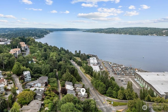 7747 Sand Point Way NE Unit A, Seattle, WA 98115 - aerial view of a large body of water
