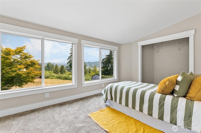 12712 232nd Ave E, Buckley, WA 98321 - carpeted bedroom featuring lofted ceiling and a closet