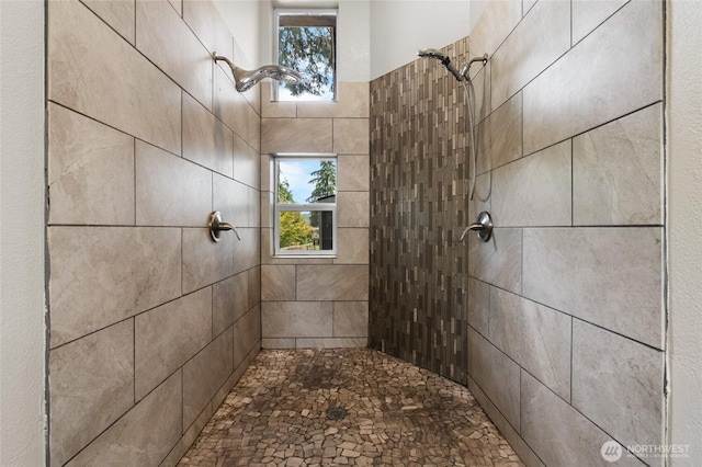 12712 232nd Ave E, Buckley, WA 98321 - bathroom featuring a tile shower