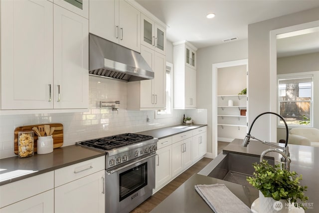 8784 NE Winslow Grove Ct, Bainbridge Island, WA 98110 - kitchen featuring under cabinet range hood, stainless steel range, dark wood-style flooring, tasteful backsplash, and recessed lighting