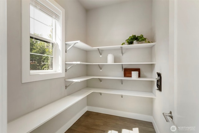 8784 NE Winslow Grove Ct, Bainbridge Island, WA 98110 - view of storage area