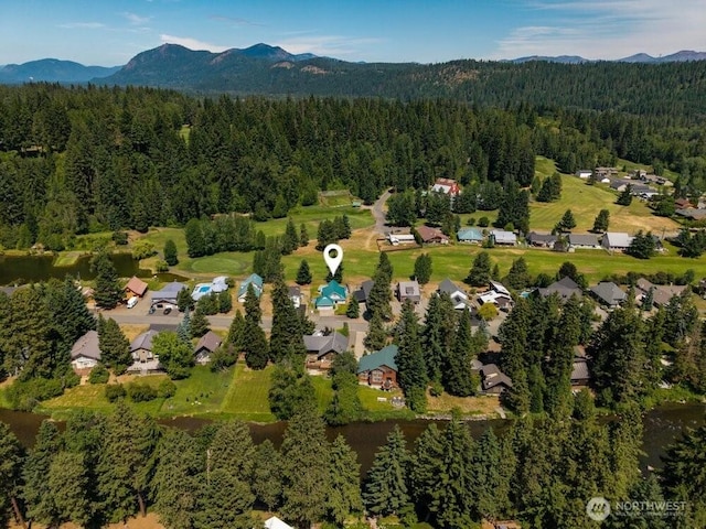 491 Pebble Beach Dr, Cle Elum, WA 98922 - aerial overview of property's location with a forest and a mountain backdrop