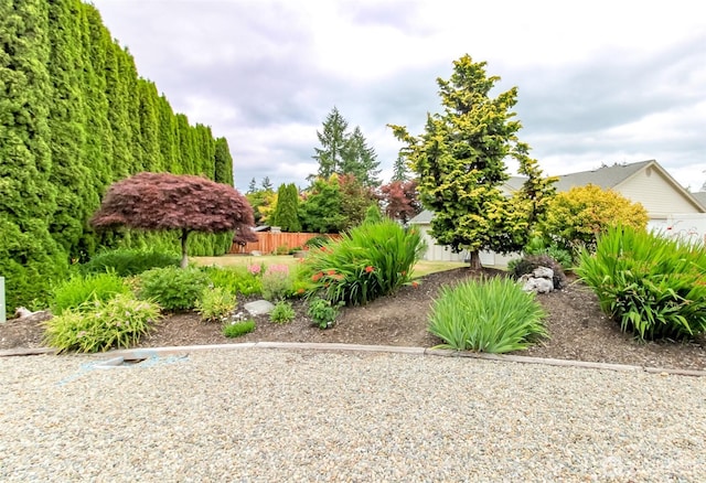 5117 77th St E, Tacoma, WA 98443 - view of yard