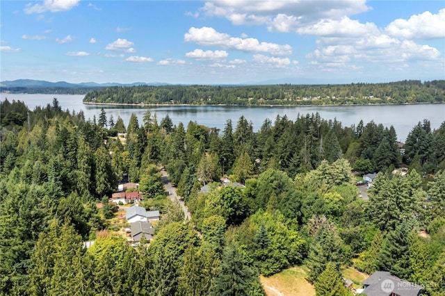 2529 Westwind Dr NW, Olympia, WA 98502 - photo 26