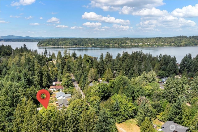 2529 Westwind Dr NW, Olympia, WA 98502 - photo 31