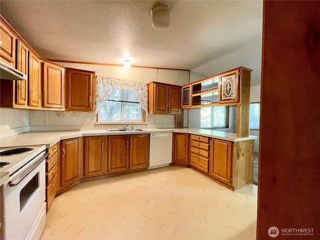 115 4th Ave SE, Soap Lake, WA 98851 - kitchen featuring white appliances, brown cabinets, light countertops, light carpet, and wallpapered walls