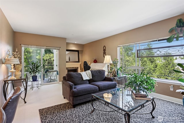 15000 Juanita Dr NE Unit 309, Kenmore, WA 98028 - carpeted living area featuring a fireplace and baseboards